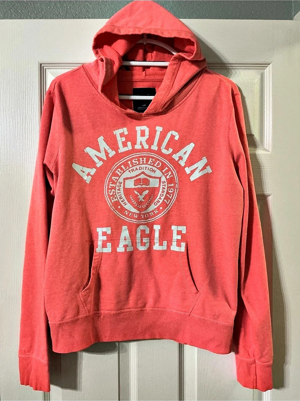 American Eagle Coral Graphic Pullover Hoodie Size Large